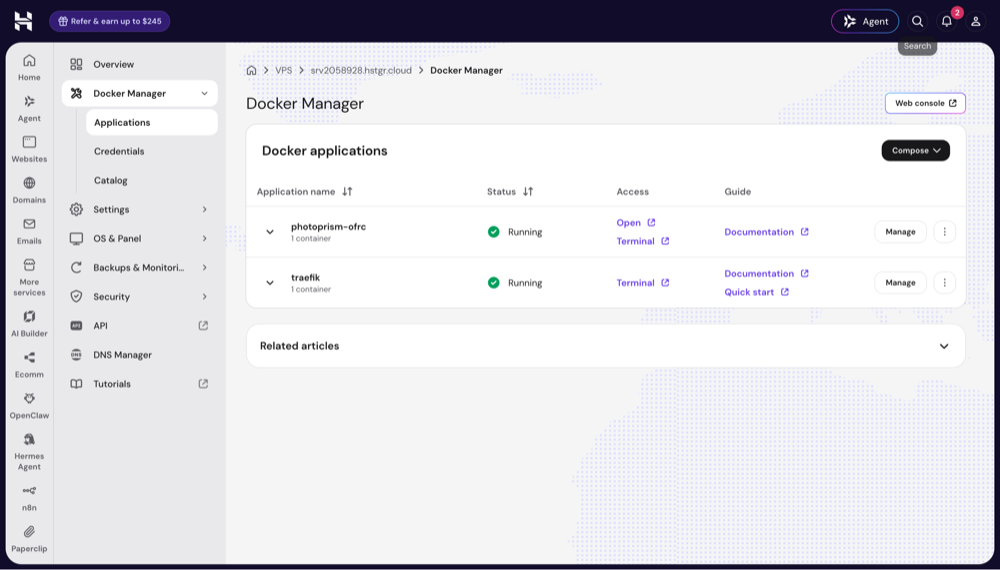 Screenshot of the Docker Manager applications list with both applications running